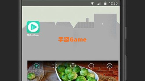 moboplayer