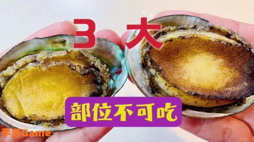 人们吃鲍鱼主要是吃它的什么部位