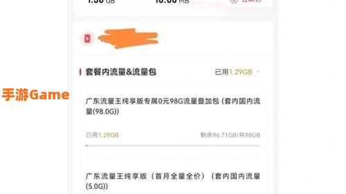 极点流量王