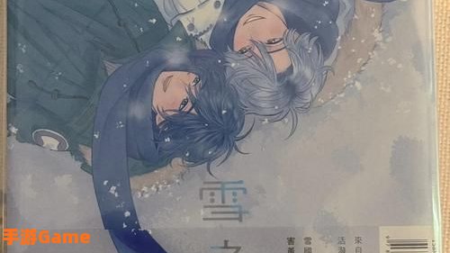 雪之妖精
